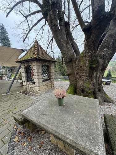 Obisk študentov Arhitekture 3